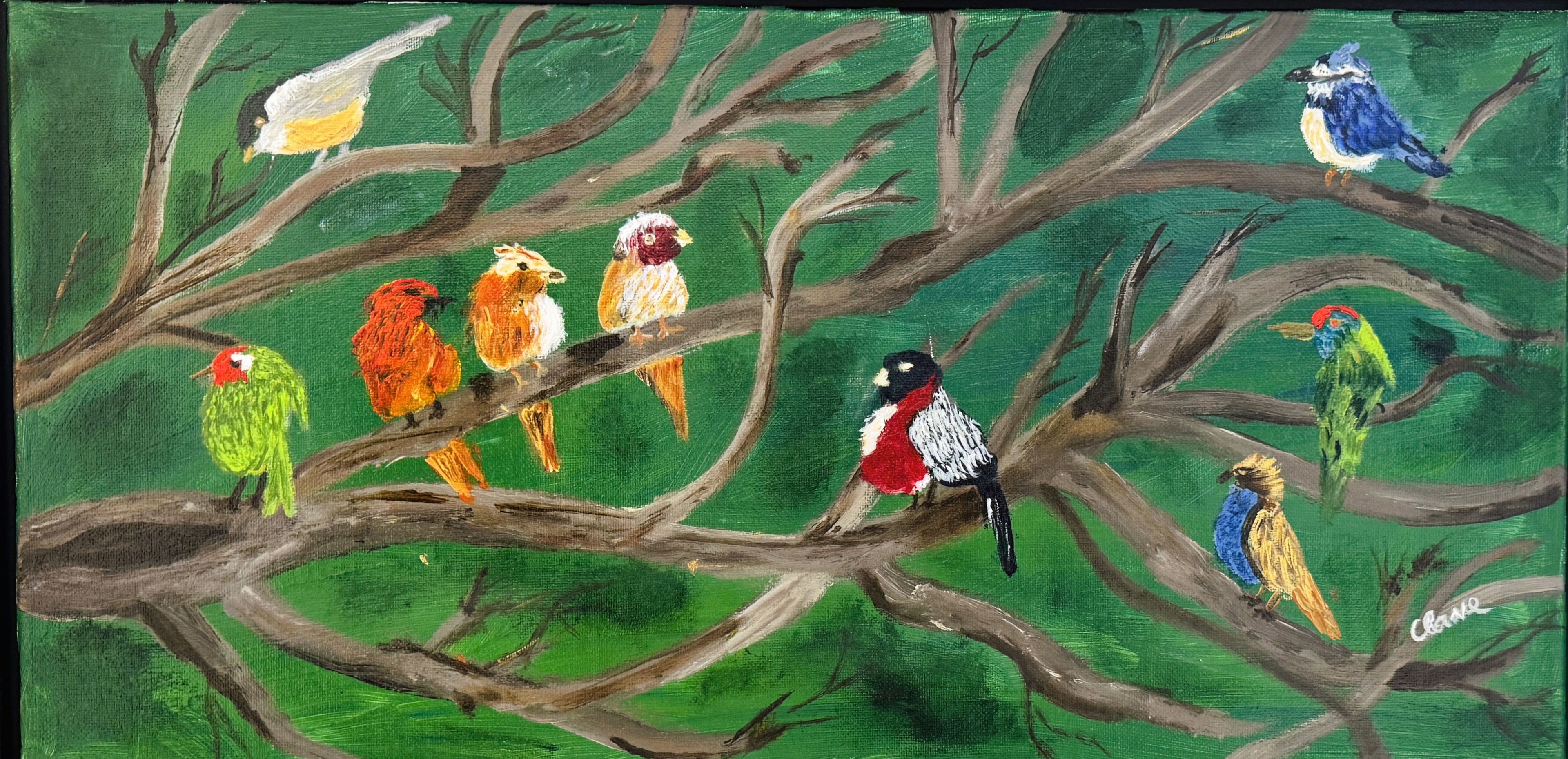 Bird Buddies